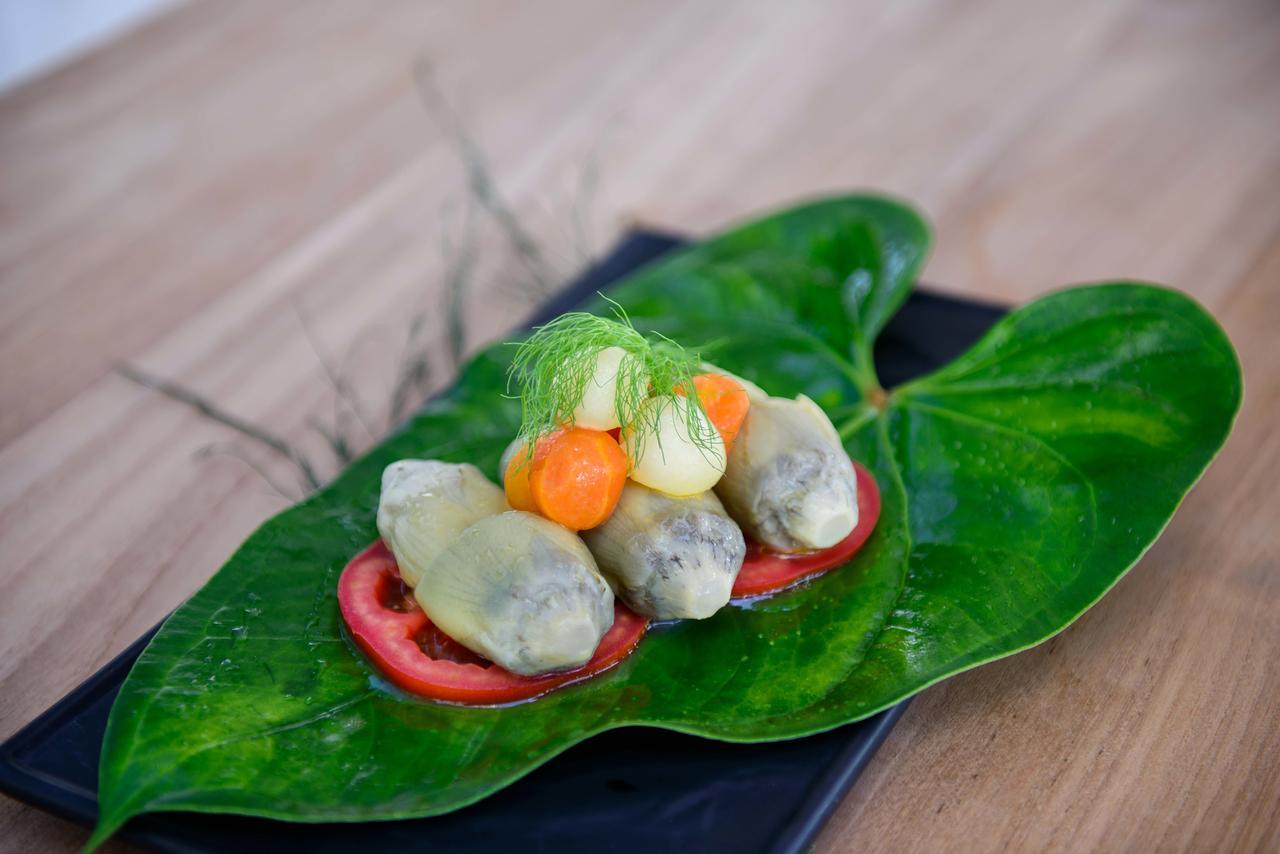 The Lifeco Antalya Well-Being Detox Center And Vegan Hotel Eksteriør bilde
